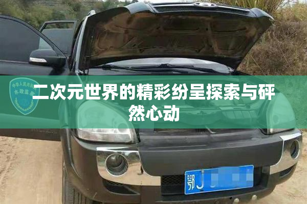 二次元世界的精彩纷呈探索与砰然心动
