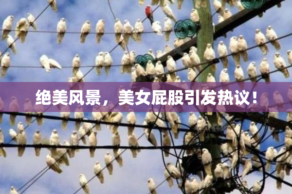 绝美风景，美女屁股引发热议！