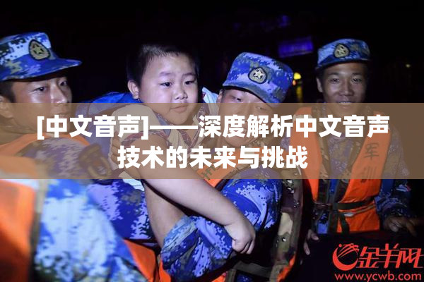[中文音声]——深度解析中文音声技术的未来与挑战