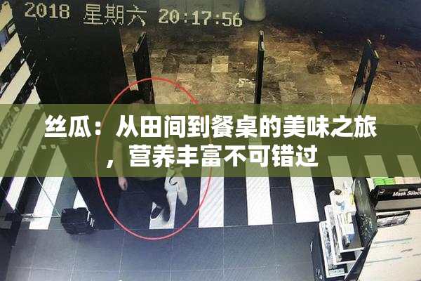 丝瓜：从田间到餐桌的美味之旅，营养丰富不可错过