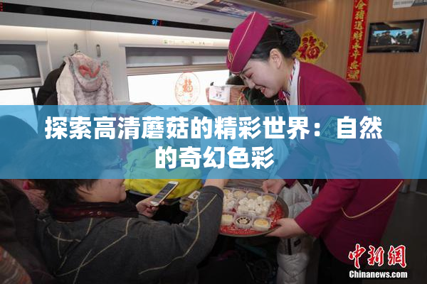 探索高清蘑菇的精彩世界：自然的奇幻色彩