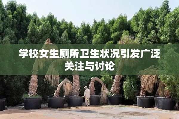 学校女生厕所卫生状况引发广泛关注与讨论