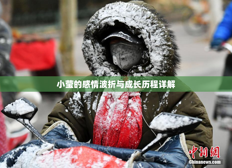 小莹的感情波折与成长历程详解