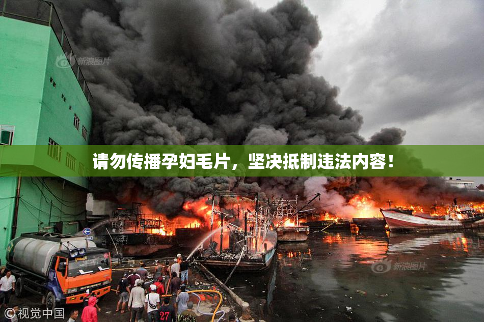 请勿传播孕妇毛片，坚决抵制违法内容！