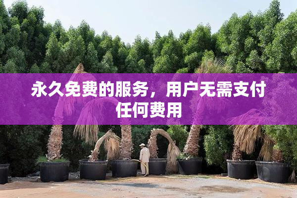 永久免费的服务，用户无需支付任何费用