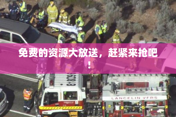 免费的资源大放送，赶紧来抢吧！