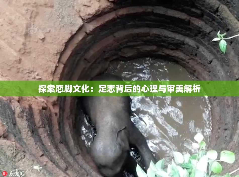 探索恋脚文化：足恋背后的心理与审美解析