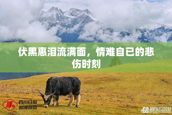 伏黑惠泪流满面，情难自已的悲伤时刻