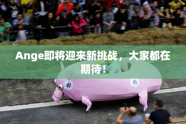 Ange即将迎来新挑战，大家都在期待！