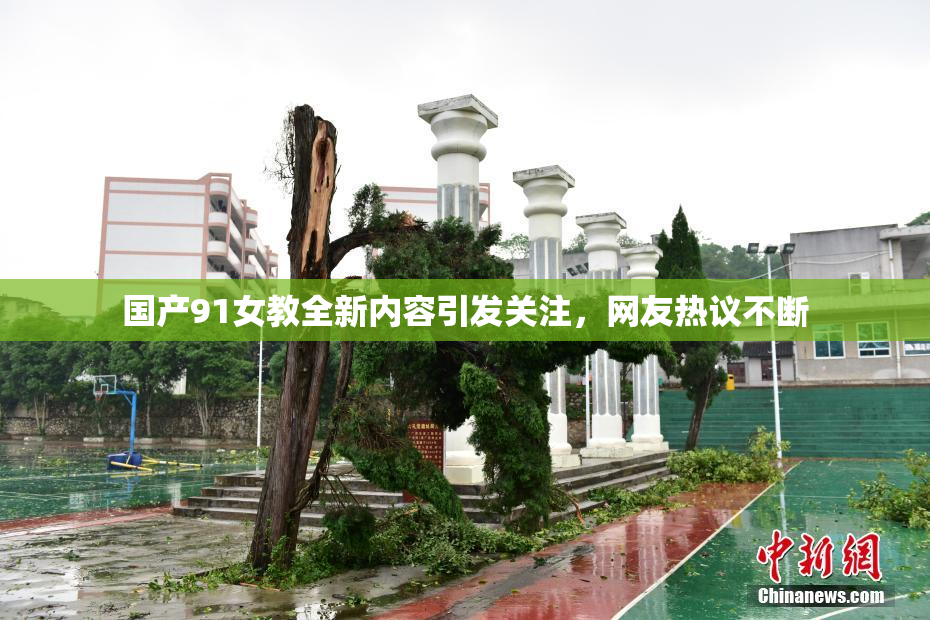 国产91女教全新内容引发关注，网友热议不断