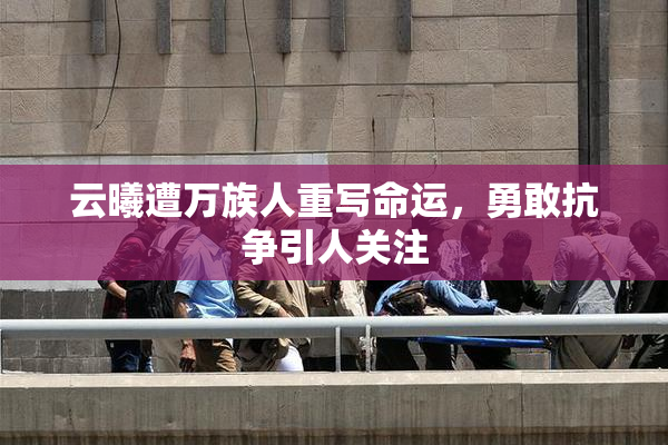 云曦遭万族人重写命运，勇敢抗争引人关注