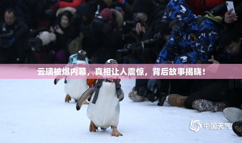 云璃被爆内幕，真相让人震惊，背后故事揭晓！