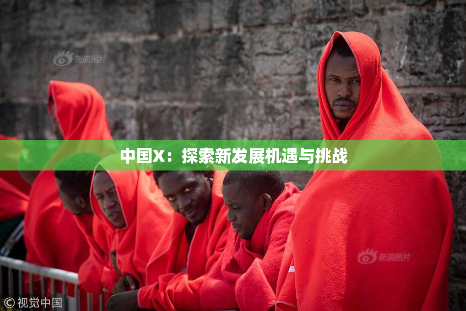 中国X：探索新发展机遇与挑战