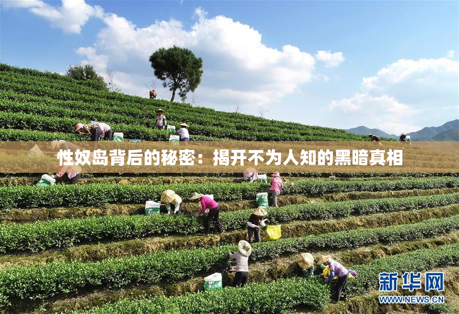 性奴岛背后的秘密：揭开不为人知的黑暗真相