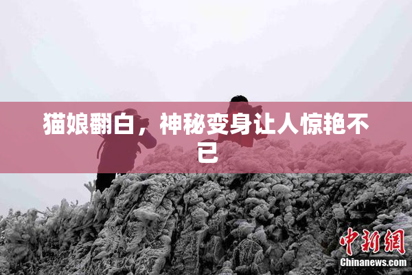猫娘翻白，神秘变身让人惊艳不已