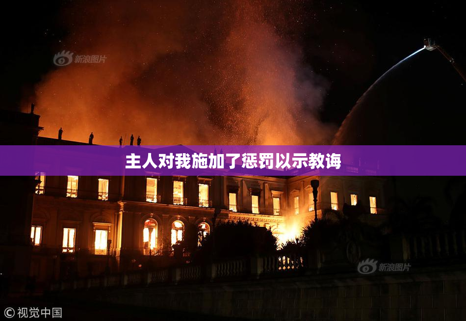 主人对我施加了惩罚以示教诲