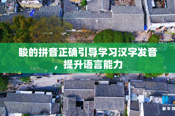睃的拼音正确引导学习汉字发音，提升语言能力