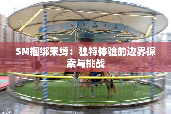 SM捆绑束缚：独特体验的边界探索与挑战