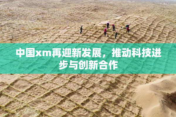 中国xm再迎新发展，推动科技进步与创新合作