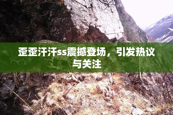 歪歪汗汗ss震撼登场，引发热议与关注