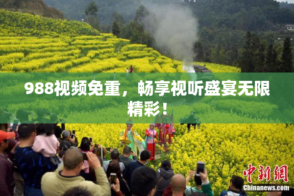 988视频免重，畅享视听盛宴无限精彩！