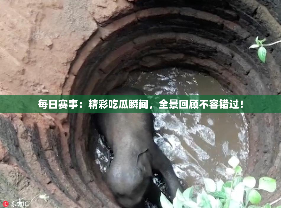 每日赛事：精彩吃瓜瞬间，全景回顾不容错过！