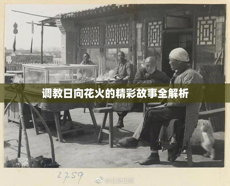 调教日向花火的精彩故事全解析