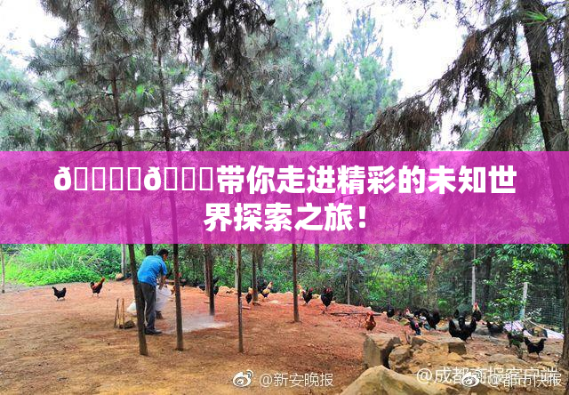 🔞‌🍌带你走进精彩的未知世界探索之旅！