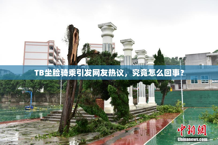TB坐脸骑乘引发网友热议，究竟怎么回事？