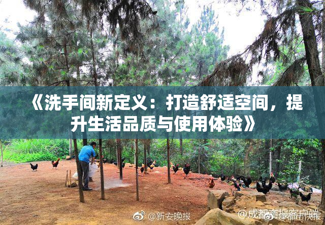 《洗手间新定义：打造舒适空间，提升生活品质与使用体验》