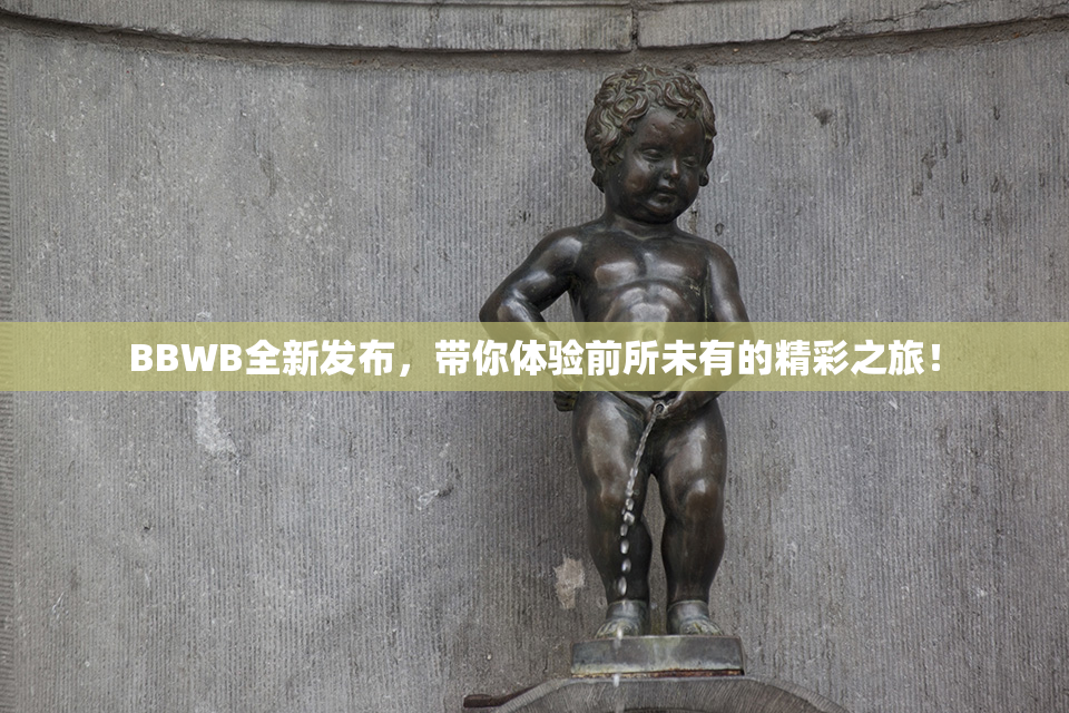 BBWB全新发布，带你体验前所未有的精彩之旅！