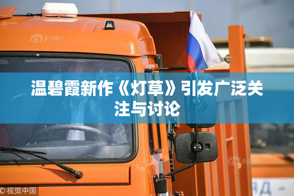 温碧霞新作《灯草》引发广泛关注与讨论