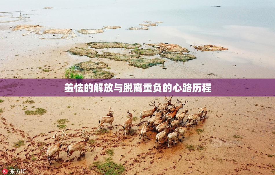 羞怯的解放与脱离重负的心路历程