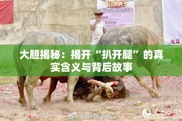 大胆揭秘：揭开“扒开腿”的真实含义与背后故事