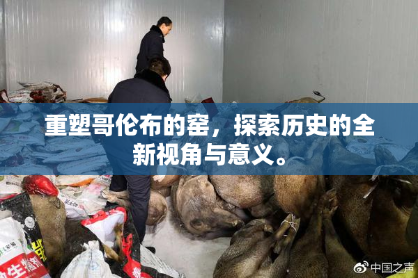 重塑哥伦布的窑，探索历史的全新视角与意义。