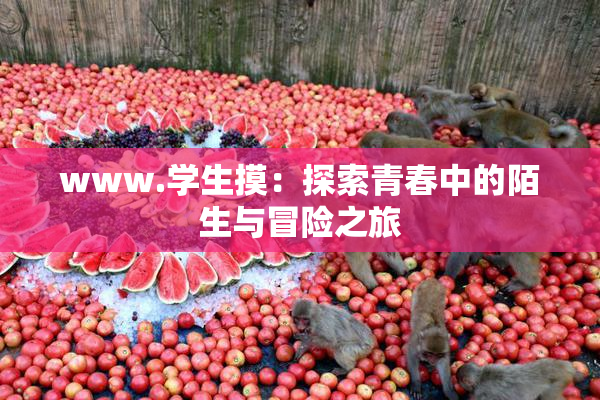 www.学生摸：探索青春中的陌生与冒险之旅