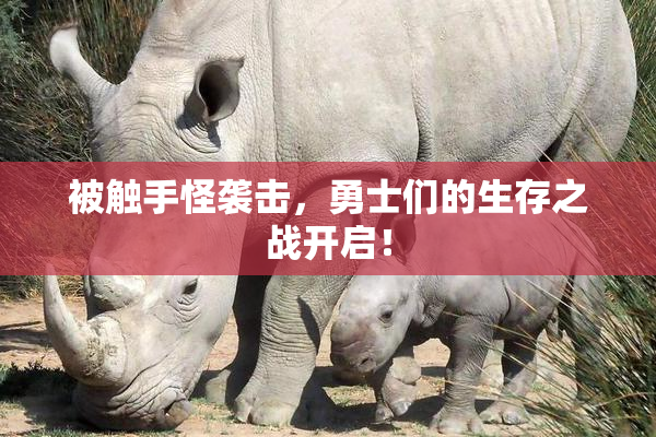 被触手怪袭击，勇士们的生存之战开启！