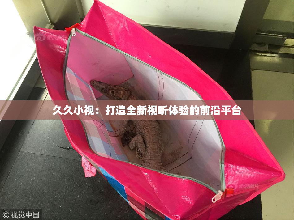 久久小视：打造全新视听体验的前沿平台