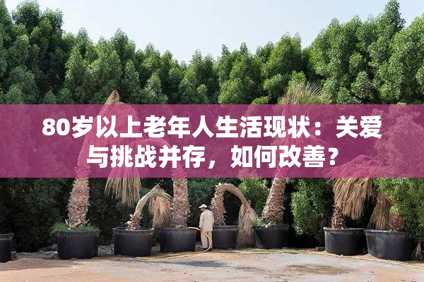 80岁以上老年人生活现状：关爱与挑战并存，如何改善？