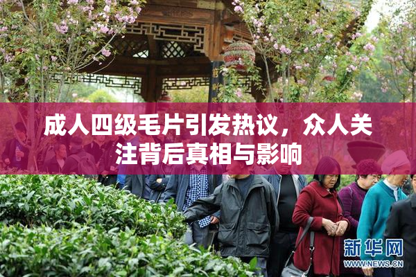 成人四级毛片引发热议，众人关注背后真相与影响