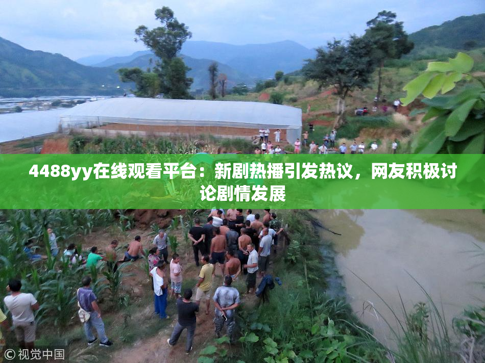 4488yy在线观看平台：新剧热播引发热议，网友积极讨论剧情发展