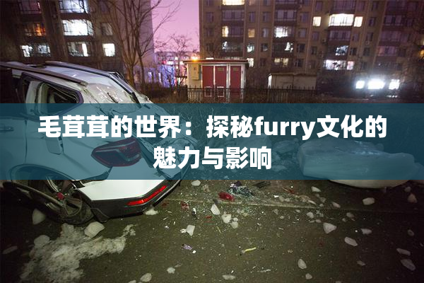 毛茸茸的世界：探秘furry文化的魅力与影响