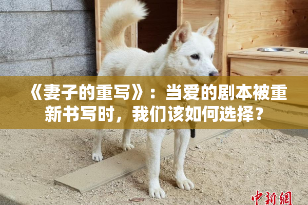 《妻子的重写》：当爱的剧本被重新书写时，我们该如何选择？