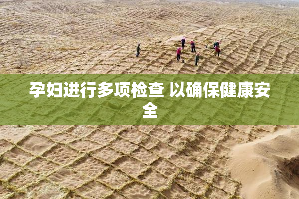 孕妇进行多项检查 以确保健康安全