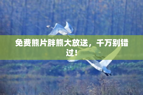 免费熊片胖熊大放送，千万别错过！