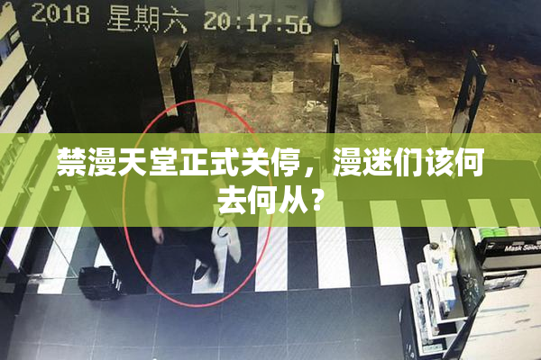 禁漫天堂正式关停，漫迷们该何去何从？