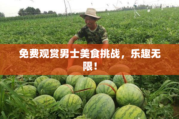 免费观赏男士美食挑战，乐趣无限！