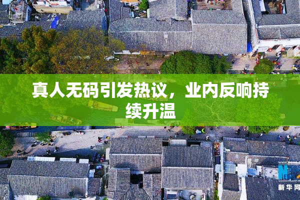 真人无码引发热议，业内反响持续升温