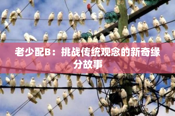 老少配B：挑战传统观念的新奇缘分故事