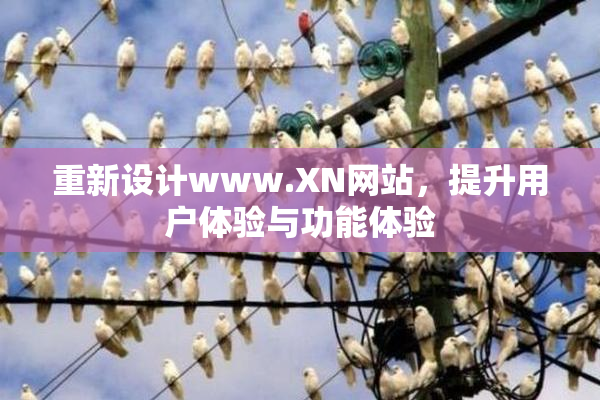 重新设计www.XN网站，提升用户体验与功能体验